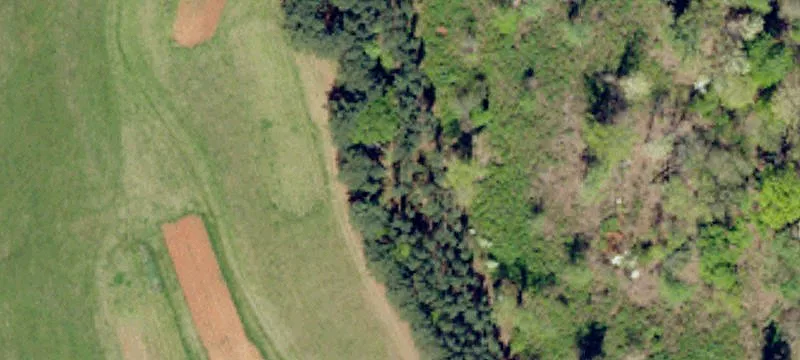 Ballenger Rd