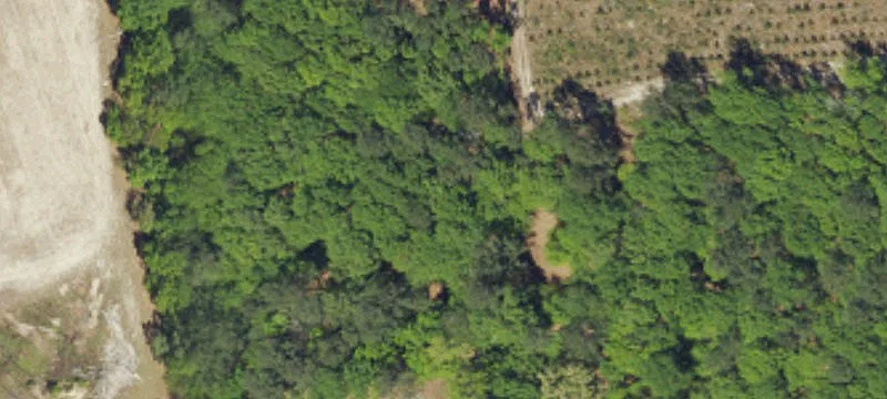 Barnwell, SC 29812