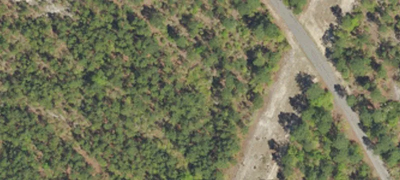 State Pond Rd