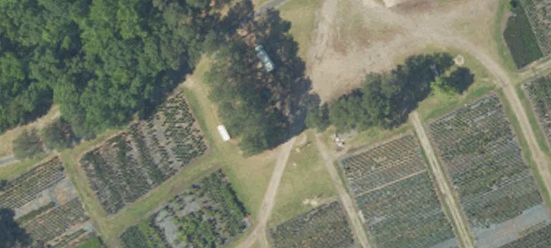 2900 Plowden Ml Rd