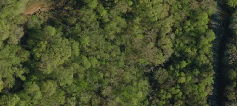 Walhalla, SC 29691
