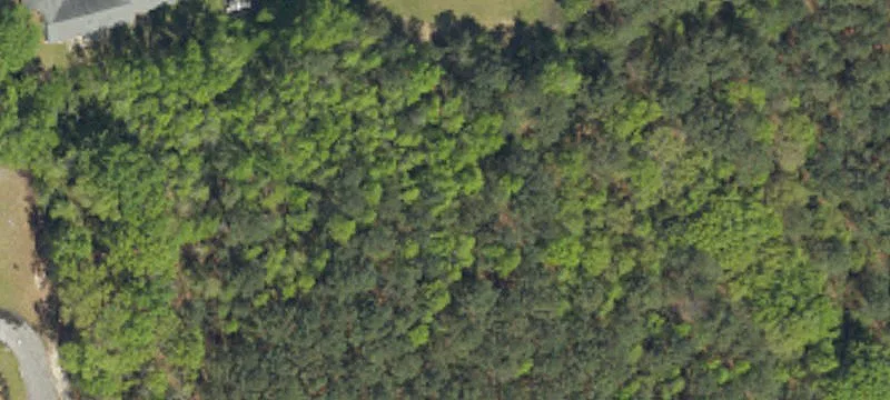 Hartsville, SC 29550
