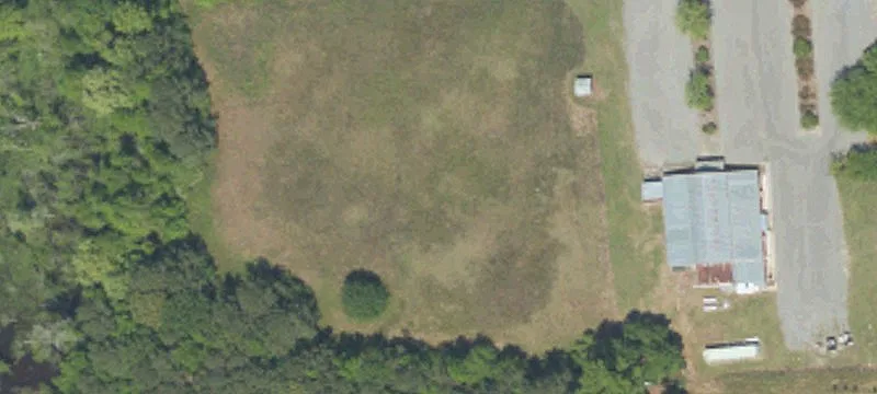 1228 Turbeville Hwy