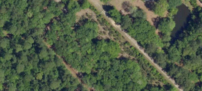 2021 Zelasko Dr