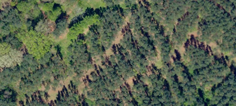Pelzer, SC 29669
