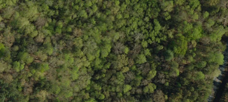 Walhalla, SC 29691