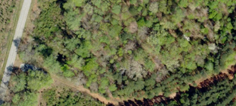 Glenn Spgs Rd