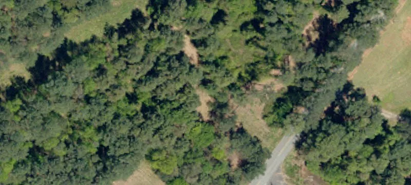 Belton, SC 29627