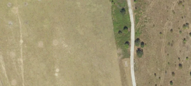 Hartsville, SC 29550