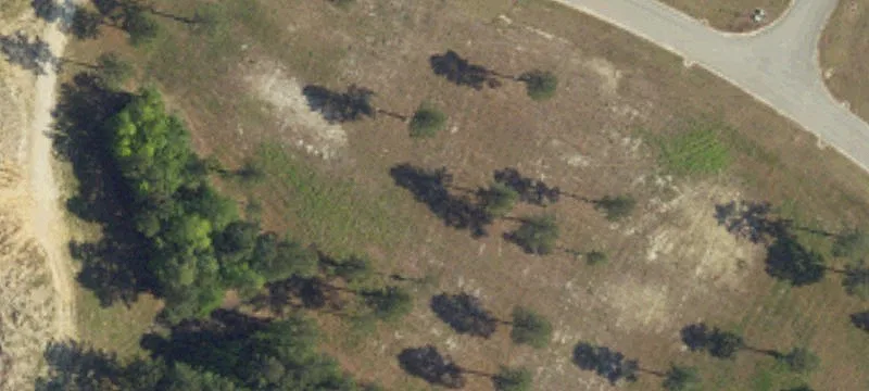 Aynor, SC 29511