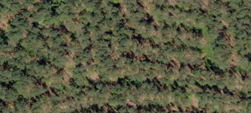 Wofford Rd