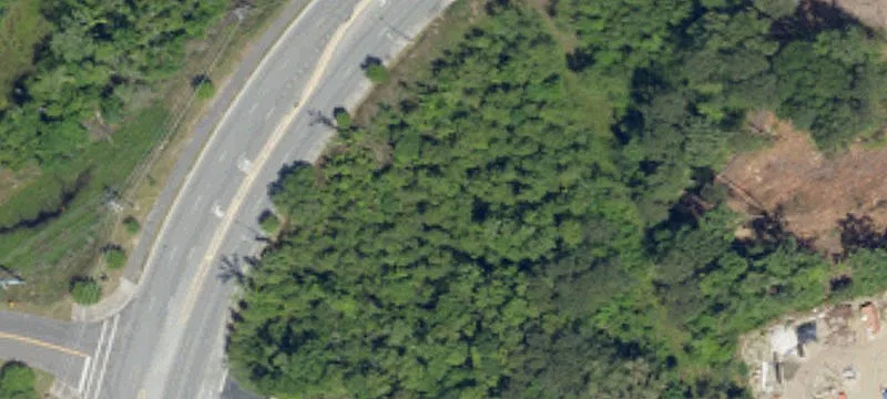 Bees Fry Rd