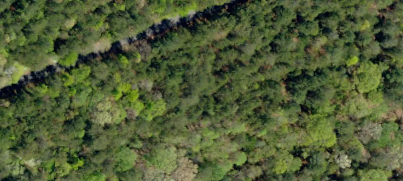 Horseshoe Fls Rd