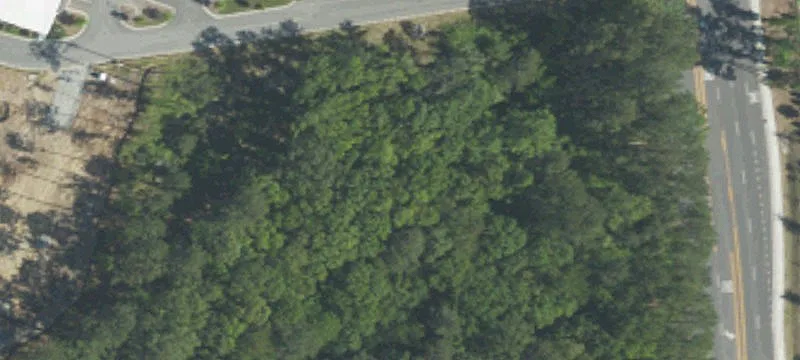 Faison Rd