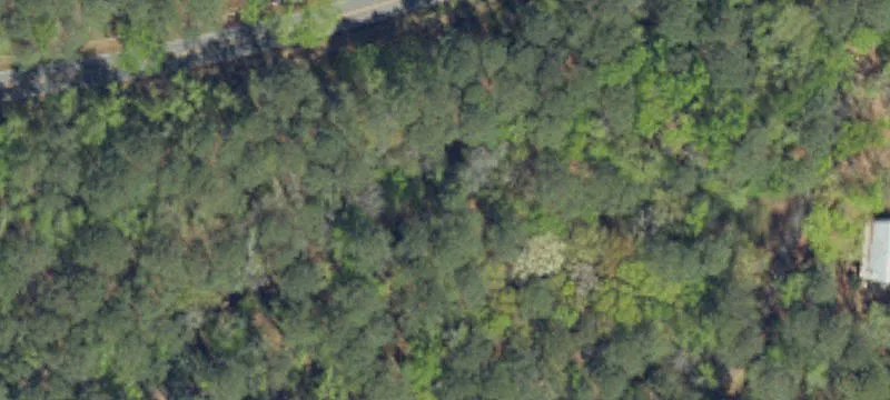 Darlington, SC 29532