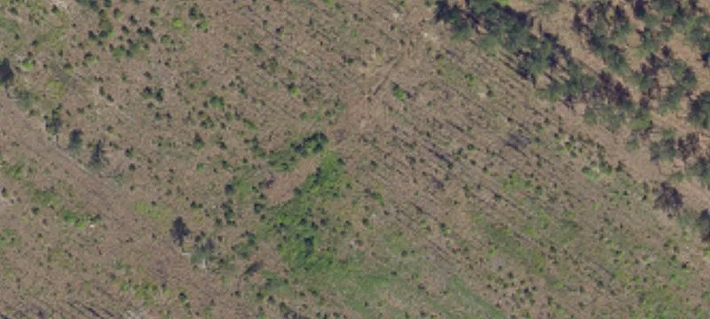 Early Branch, SC 29916