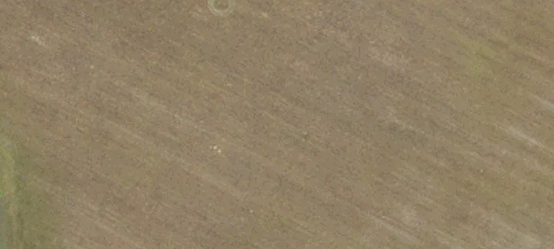 Pecan Tree Rd