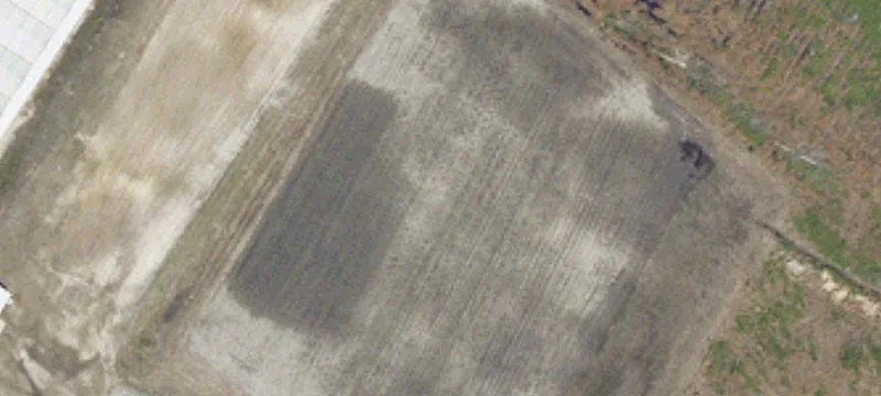 Early Branch, SC 29916