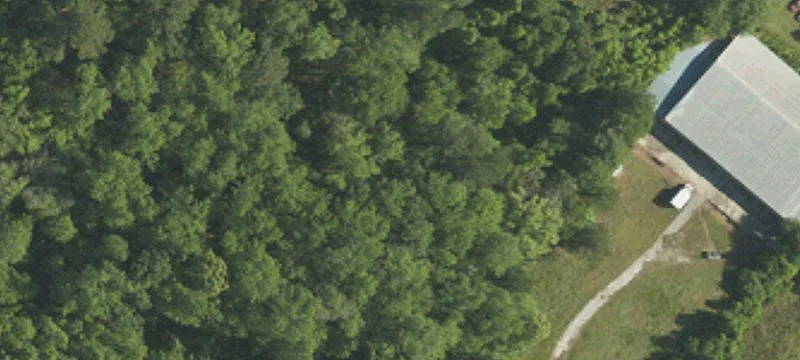 Varnville, SC 29944