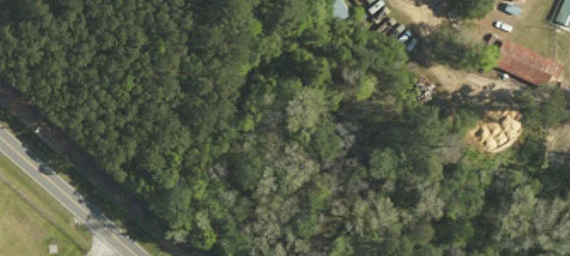 Varnville, SC 29944