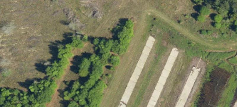 Allendale, SC 29810