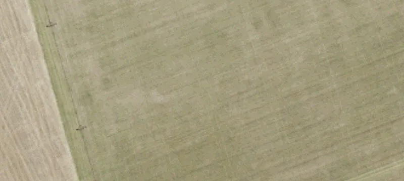 300 Sc