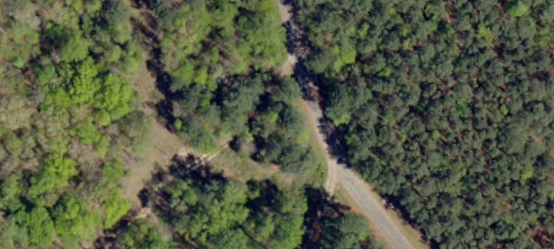 Teakwood Ln