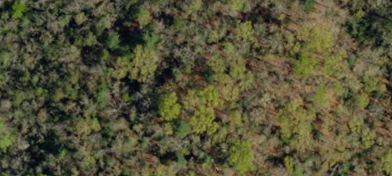 723 Ross Mtn Rd