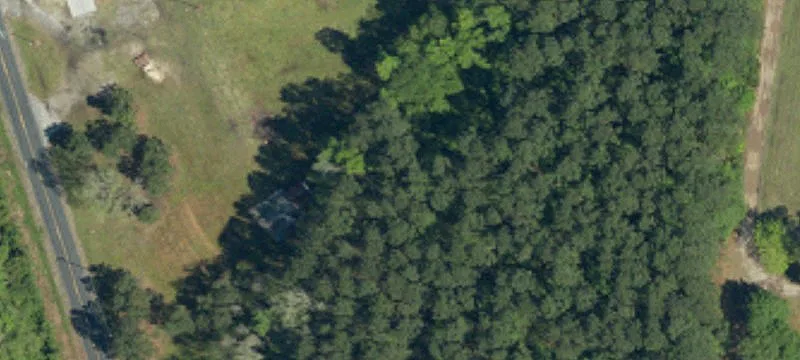 Estill, SC 29918