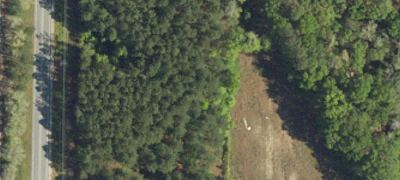 Estill, SC 29918