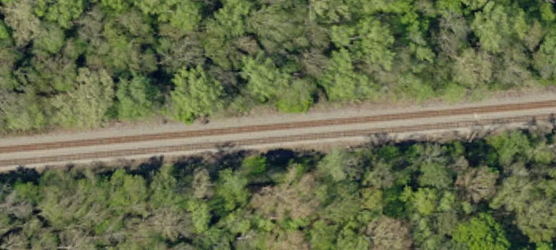 Off Carlisle Whitmire Hwy Hwy