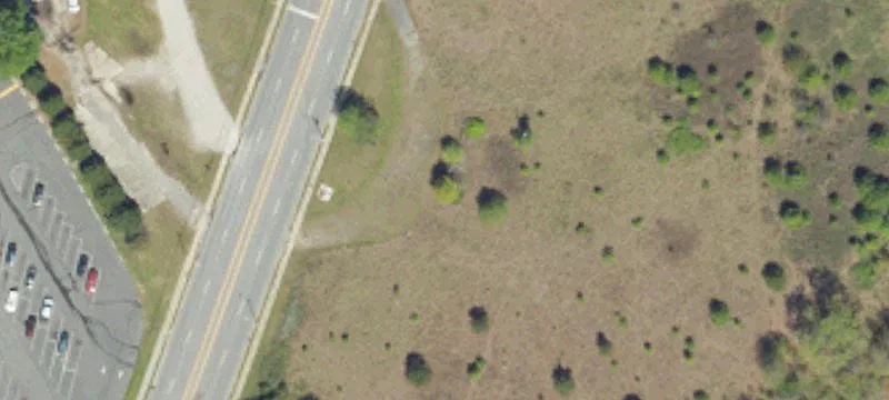 Cheraw, SC 29520
