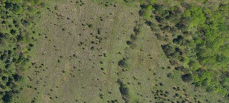 5396 Hwy 557