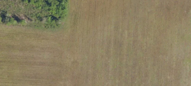 Pecan Tree Rd