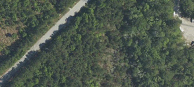 Ridgeland, SC 29936