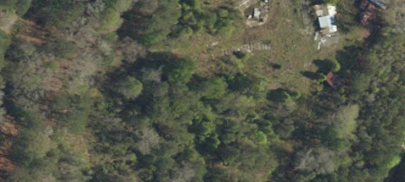 Bird Pond Rd