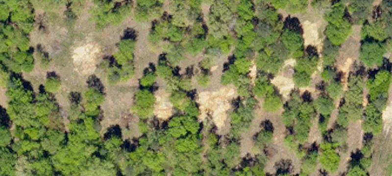 Amicks Fry Rd