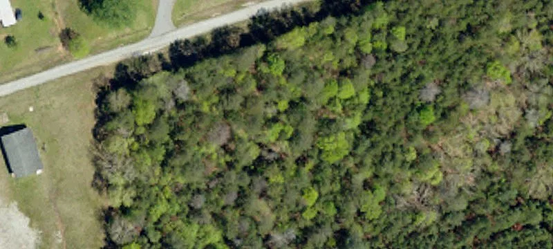 8091 Hwy 56