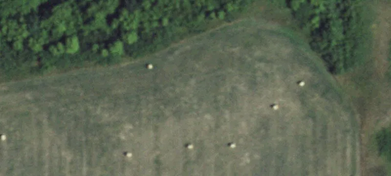  Trail