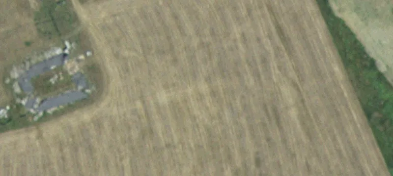 11921 Us Hwy 16
