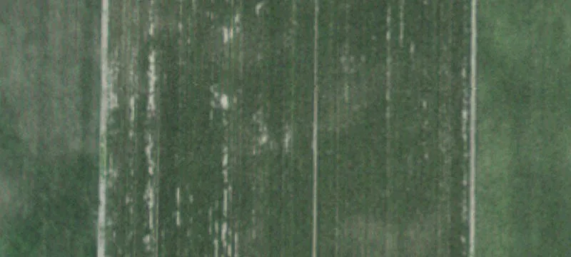 Alexandria, SD 57311