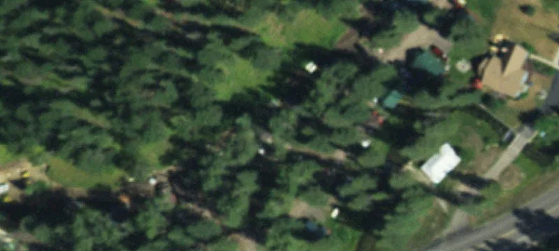 21381 Us Hwy 85