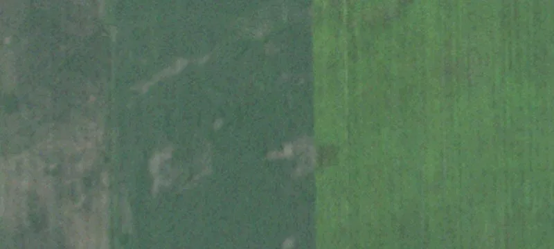 Marion, SD 57043