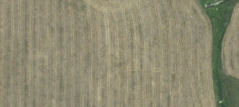 11919 Us Hwy 16