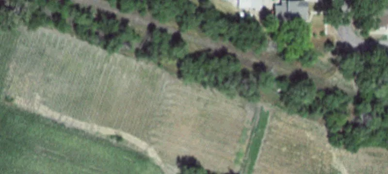 Tabor, SD 57063