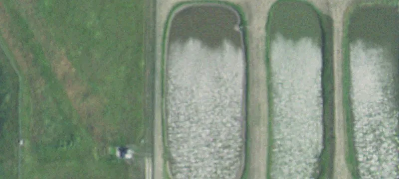 Colman, SD 57017