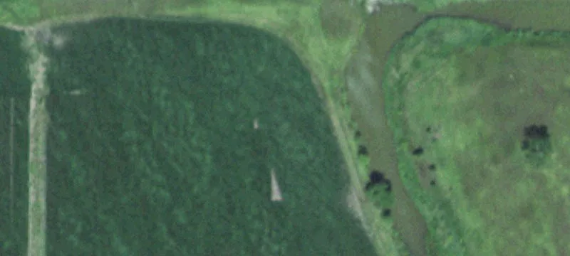 Carthage, SD 57323