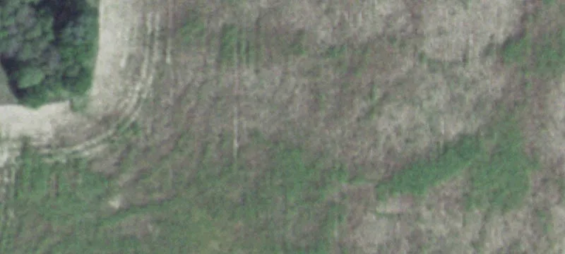 3802 Hwy 50