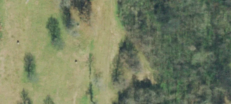 2470 Lynnville Hwy