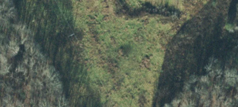 1905 Mines Rd